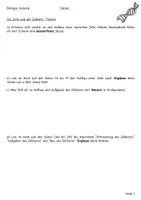 Vorschau - Arbeitsblätter - Theorie und Untersuchungen des Zellerkerns und der DNA mit Lösung - Seite 1