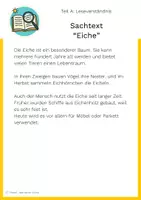 Vorschau - Arbeitsblätter - Kompass 4 Deutsch Übungsarbeit - kurze Texte - Seite 1