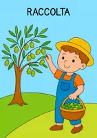 anteprima - Programmi scolastici / Materiali per docenti - DALLE OLIVE ALL'OLIO: SCOPRIAMO INSIEME IL PROCESSO - Pagina 2