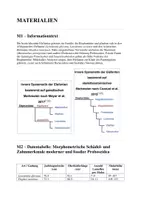 Vorschau - Arbeitsblätter - Klausur - Evolution, Symstematik, Phylogenie, Elefanten - Seite 1