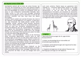 Vorschau - Stundenentwürfe - Gruppenpuzzle Evolutionstheorien (Linné, Cuvier, Lamarck & Darwin) - Seite 3