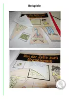 Vorschau - Arbeitsblätter - Von der Zelle zum Organismus - Organisationsebenen - NEU - Seite 2