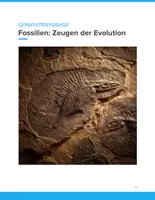 Vorschau - Unterrichtsreihen - Biologie Sparpaket SEK I & SEK II – Evolution, Ökologie, Genetik & Neurobiologie - Seite 1