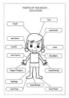 Vorschau - Arbeitsblätter - Parts of the Body / Englisch / Bildwörterbuch - Seite 2