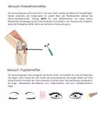 Vorschau - Arbeitsblätter - Kniesehnen-/Pupillenreflex (Versuchsanleitung, Protokollmaske) - Deckblatt