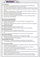 Aperçu - Autre type de ressources - PACK RÉUSSITE CAPPEI – TSA - Page 2