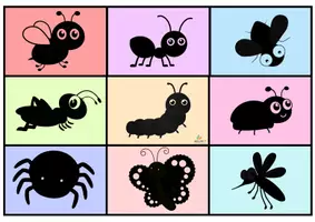 Vista previa - Tarjetas / Manipulativos - 🪲 Mini Carpeta TEACCH – Sombras de Insectos | Emparejamiento y percepción visual - página 1