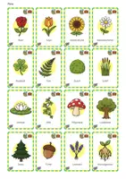 Vorschau - Spiele - Ich packe meinen Koffer - Flora & Fauna - Seite 1