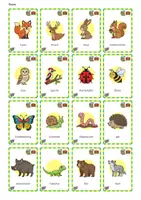 Vorschau - Spiele - Ich packe meinen Koffer - Flora & Fauna - Seite 2