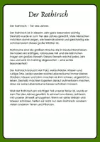 Vorschau - Arbeitsblätter - Der Rothirsch- ein Sachtext zum Hören und Verstehen - Seite 1