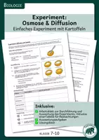 Vorschau - Arbeitsblätter - Osmose & Diffusion – Experiment mit Kartoffeln - Deckblatt