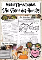 Vorschau - Unterrichtsreihen - Hunde: Die Sinne des Hundes (Arbeitsblätter & Tafelmaterial) - Deckblatt