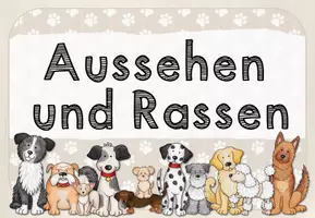 Vorschau - Stundenentwürfe - Hunde: Reihentransparenz und Handreichung - Seite 3