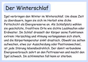 Vorschau - Anderer Materialtyp - Tiere im Winter - Wissenskartei Igel - Seite 3