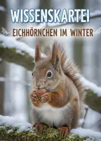Vorschau - Anderer Materialtyp - Tiere im Winter - Wissenskartei Eichhörnchen - Deckblatt