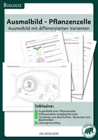 Vorschau - Arbeitsblätter - Eukaryotische Zellen - Ausmalbilder von Tier- und Pflanzenzellen - Seite 1