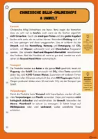 Vorschau - Arbeitsblätter - Umweltauswirkungen chinesischer Billig-Onlineshops - Seite 1