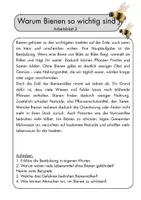 Vorschau - Arbeitsblätter - Sachtexte verstehen Lesekompetenz fördern Klasse 6-7 - Seite 2