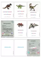 Aperçu - Cartes / Images - 12 Cartes Nomenclature Dinosaures Montessori - Page 2