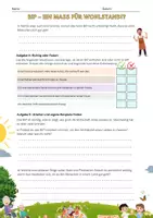 Vorschau - Arbeitsblätter - BIP - Ein Maß für Wohlstand!? - Seite 3