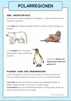 Vorschau - Arbeitsblätter - Arktis und Antarktis | Polargebiet - Seite 3