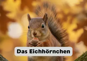 Vorschau - Anderer Materialtyp - Tiere im Winter - Wissenskartei Eichhörnchen - Seite 1