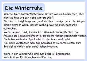 Vorschau - Anderer Materialtyp - Tiere im Winter - Wissenskartei Eichhörnchen - Seite 3