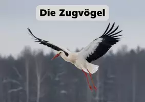 Vorschau - Anderer Materialtyp - Tiere im Winter - Wissenskartei Storch (Vogelzug) - Seite 2