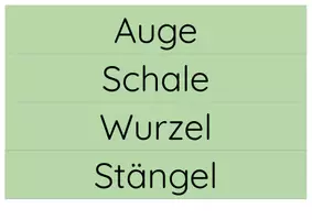 Vorschau - Poster - Tafelmaterial Kartoffel - Seite 3