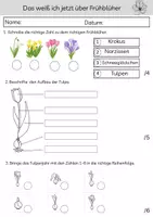 Vorschau - Arbeitsblätter - Lernzielkontrolle - Das weiß ich jetzt über Frühblüher - Seite 1