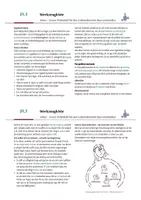 Vorschau - Lehrwerke/Schulbücher - Werkzeug „Potentiale ausschöpfen“ - Seite 2