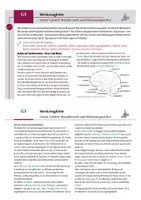 Vorschau - Lehrwerke/Schulbücher - Werkzeug „Unser Gehirn: Wunderwelt und Wissensspeicher“ - Seite 3