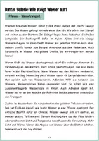 Vorschau - Arbeitsblätter - Wie trinken Pflanzen? Wassertransport Experiment Sellerie - Seite 1