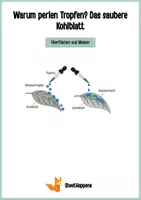 Vorschau - Arbeitsblätter - Lotuseffekt - Warum perlen Wassertropfen ab? Oberflächen Experiment - Deckblatt