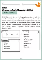 Vorschau - Arbeitsblätter - Lotuseffekt - Warum perlen Wassertropfen ab? Oberflächen Experiment - Seite 2