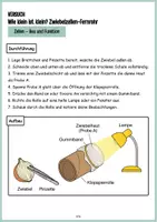 Vorschau - Arbeitsblätter - Zwiebelzellen Fernrohr - Experiment Lupe bauen - Seite 3