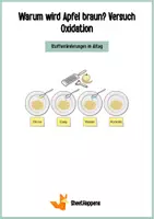 Vorschau - Arbeitsblätter - Warum wird der Apfel braun? - Oxidation Stoffveränderung Experiment - Deckblatt