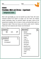 Vorschau - Arbeitsblätter - Frischkäse-Experiment mit Milch und Zitrone - Seite 2