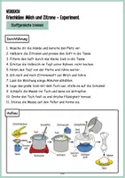 Vorschau - Arbeitsblätter - Frischkäse-Experiment mit Milch und Zitrone - Seite 3