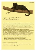 Vorschau - Stationenlernen - Mystery: Auge in Auge mit dem Panther - Seite 2