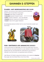 Vorschau - Arbeitsblätter - Savanne und Steppe - Sachtexte und Arbeitsblatt (Vegetationszonen) - Seite 3