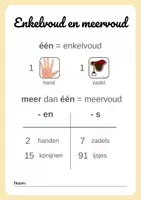 Voorbeeld - Enkelvoud en meervoud bundel - Voorblad