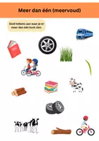 Voorbeeld - Enkelvoud en meervoud bundel - Pagina 3