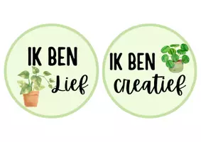 Voorbeeld - Spiegelkaartjes planten - Pagina 1