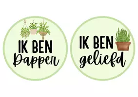 Voorbeeld - Spiegelkaartjes planten - Pagina 2