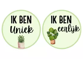 Voorbeeld - Spiegelkaartjes planten - Pagina 3