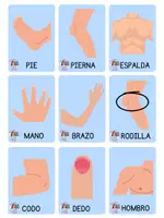 Vista previa - Unidades / Secuencias / Situaciones de Aprendizaje - TARJETAS DE LAS PARTES CUERPO HUMANO - página 1