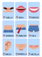 Vista previa - Unidades / Secuencias / Situaciones de Aprendizaje - TARJETAS DE LAS PARTES CUERPO HUMANO - página 2