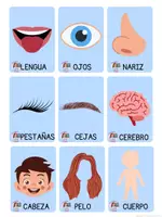 Vista previa - Unidades / Secuencias / Situaciones de Aprendizaje - TARJETAS DE LAS PARTES CUERPO HUMANO - página 3