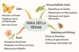 Vorschau - Arbeitsblätter - Arbeitsblätter zum Thema "Maria Sibylla Merian" (Lückentext, Hörverstehen) + Lösung & MP3 + Mindmap + Infografik - Seite 2